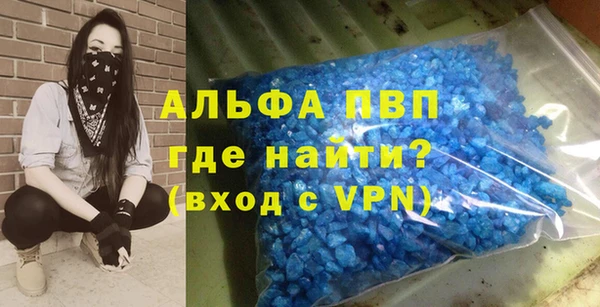 PSILOCYBIN Сясьстрой