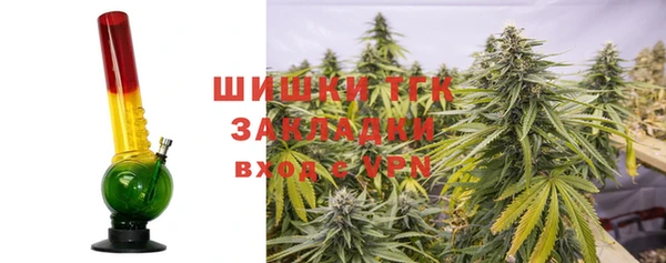 трава Богородицк