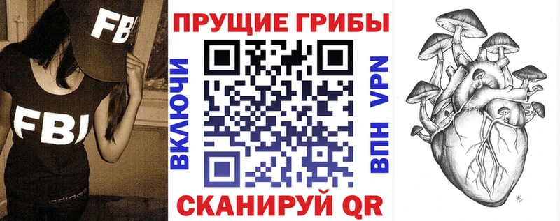 Псилоцибиновые грибы прущие грибы  магазин продажи   Кораблино 